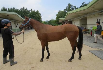 ���̶���Ʈ ����