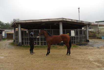 �������� ����