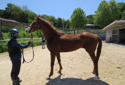 �׷�����ũ ����