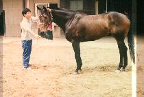 ����ī�� (HIDEN CARD) ����