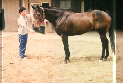 ����ī�� ����