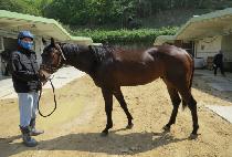 �������� (JISAN WINNER) ����