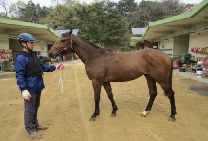 ���������� ����