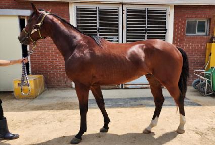 ���̰��� ����