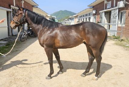 �Ŀ��ְ� ����