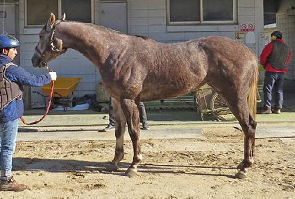 �����Ǻ� ����