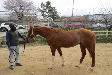 ����Ǯ���� ����