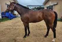 ������ (GOD NIKE) ����