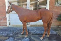 ���ε� (SUN ROAD) ����