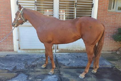 ���ε� ����