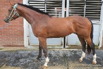 �������� (OVERSHOOTING) ����