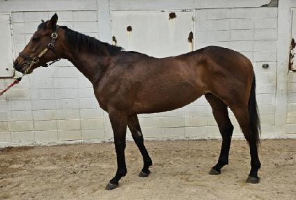 �巡���ġ ����