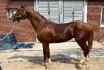 ����Ǯ�׷� (WONDERFUL GROOM) ����