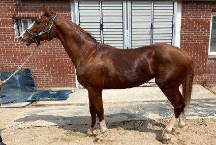 ����Ǯ�׷� ����