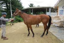 ����Ǯ���� (WONDERFUL JENNY) ����