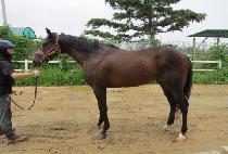 ����Ǯ���� (WONDERFUL N.B.) ����