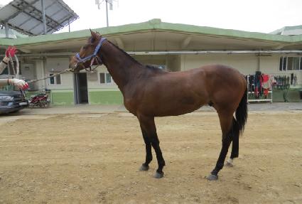 ����Ǯ��� ����