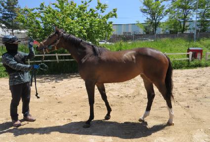 ����Ǯ��ġ ����