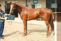 �ظ� (HAE MONG) ����