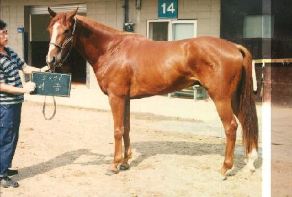 �ظ� ����