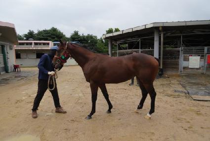 ����Ǯ�ٸ��� ����