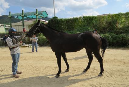 Ÿ�̰����� ����