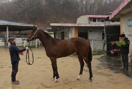 �������� ����