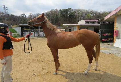 �������� ����