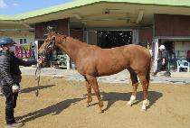 ť�ǵ���� (CUPID WORLD) ����