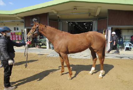 ť�ǵ���� ����