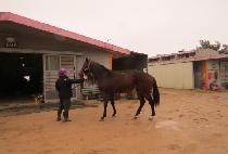 �����ϰ� (WESTERN GUN) ����