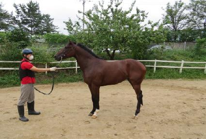 ���ø�Ʈ�� ����