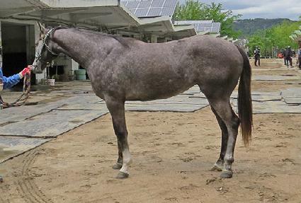 �̽������ö��� ����