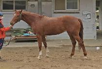 �̽����� (MISS SHARP) ����