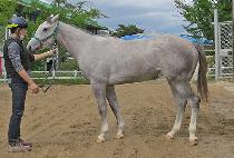 ���м� (MOONHAK SONG) ����