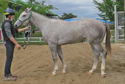 ���м� ����