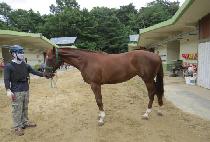 ���д��� (MUNHAK DANCE) ����