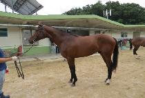 �л꽺�ǵ� (HAKSAN SPEED) ����