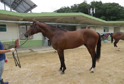 �л꽺�ǵ� ����