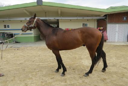 �������� ����