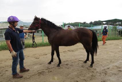 ����Ʈ�׷��� ����