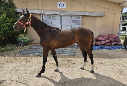 �ް��ӽ� ����