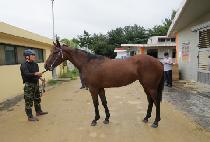 ����Ƽ���� (MIGHTY LOVE) ����