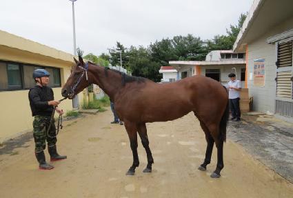 ����Ƽ���� ����