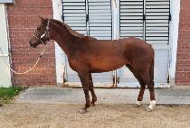 �������� (EUNSEONG JILJU) ����