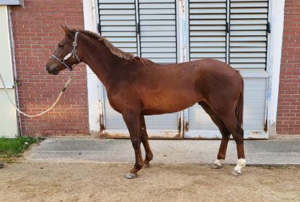 �������� ����