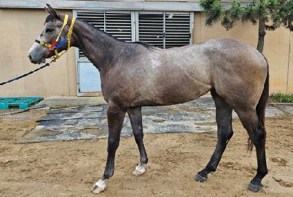 �Ծ�è�Ǿ� ����