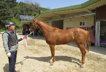 ����ġ�Ŀ� (SWITCH POWER) ����