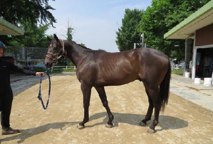 �����ǿ��� ����