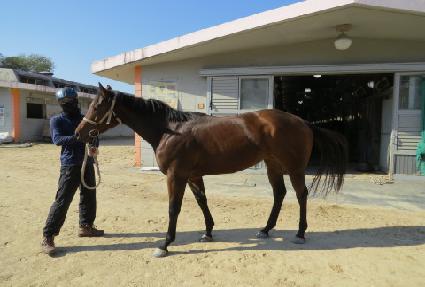 ���������� ����